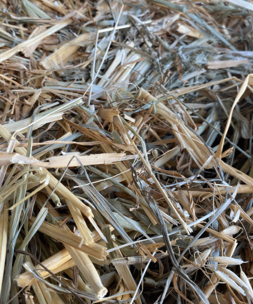 Quality hay Quality hay